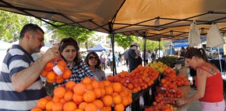 Farmers Market Oranges.jpg