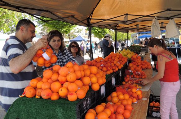 Farmers Market Oranges.jpg