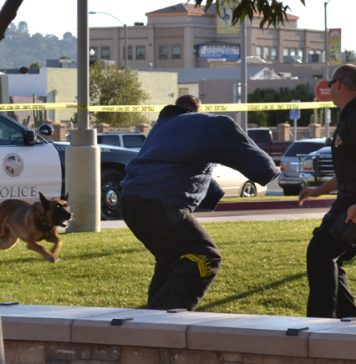 WEBNationalNightOut.jpg