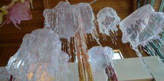 WEBJellies.jpg