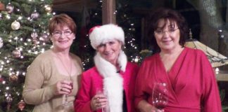 WEBChristmas for Animals Hostess and Guests.jpg