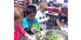 WEBCajon Valley Garden greens.jpg