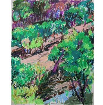 WEBCentral Valley by Susan J. Osborn.jpg