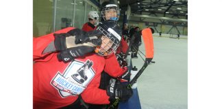 WEBHockey.jpg
