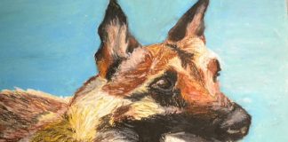 WEBGerman Shepherd.jpg