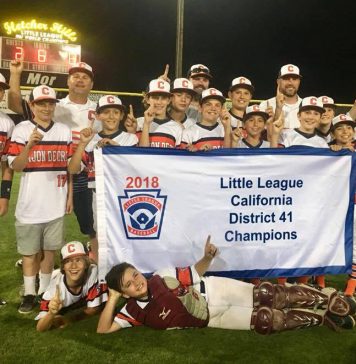 WEBlittleleague.jpg
