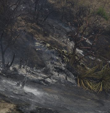 WEBwestfire2.jpg