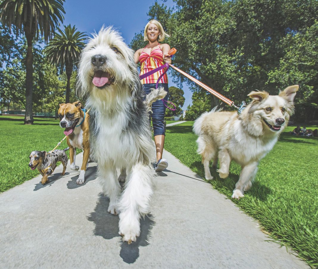 LCPG takes first step for an off leash dog park in Lakeside | The East