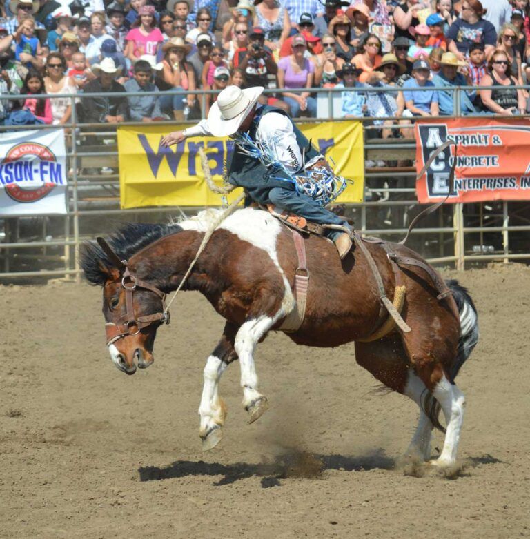 Lakeside Rodeo on the horizon | The East County Californian