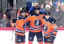 Gulls should provide hockey fans   with plenty of excitement this season
