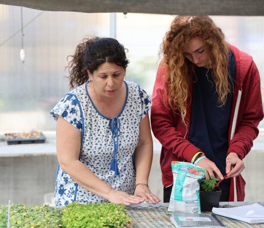 Local instructor among who’s who of teachers