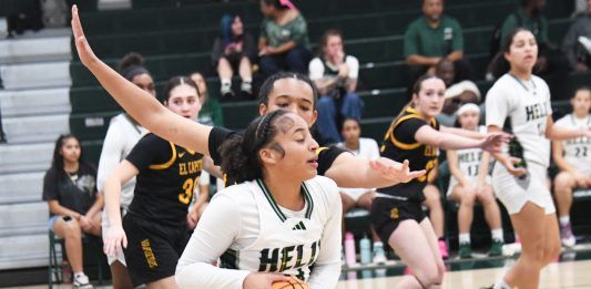 SDSU, UCSD women represented in March Madness