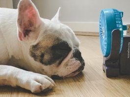 Keep calm and keep cool: County Cool Zone locations