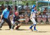 Little League launch pad reaches section level for local teams